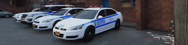 紧急服务/Responding(图5)