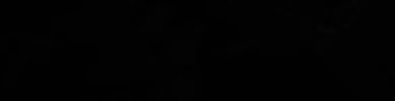 全球救援/Global Rescue(图3)