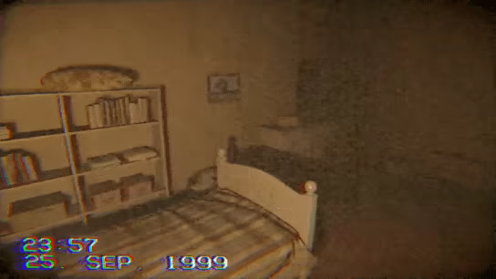 藏得太深/Too Well Hidden(图2)