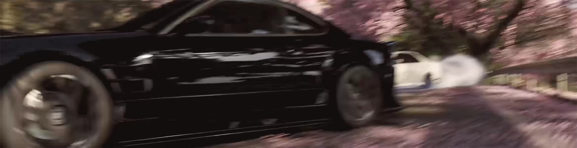 极限竞速：地平线6/Forza Horizon 6/支持网络联机(图5)