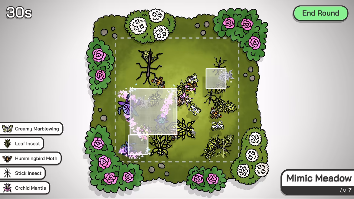 虎皮鹦鹉的昆虫小店/Budgie’s Bug Shop(图5)