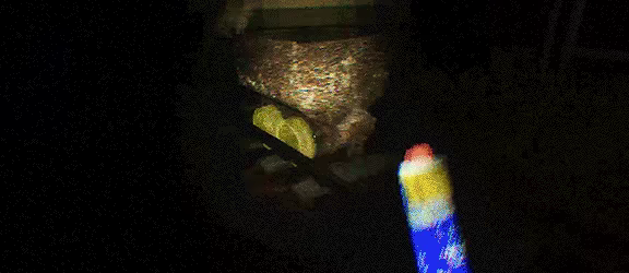夜间:鬼屋之旅/At Night: Haunted Ride(图6) 夜间:鬼屋之旅/At Night: Haunted Ride(图6)