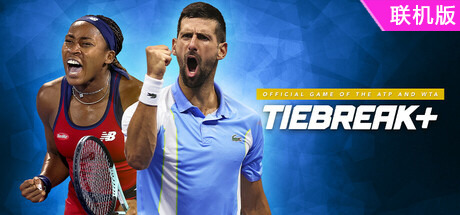 顶尖决胜/TIEBREAK+: Official Game of the ATP and WTA/支持网络联机