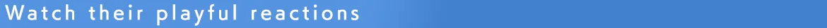 数字伴侣/桌宠启动器/Desktop Mate(更新v1.10.0)(图9) 数字伴侣/桌宠启动器/Desktop Mate(更新v1.10.0)(图9)