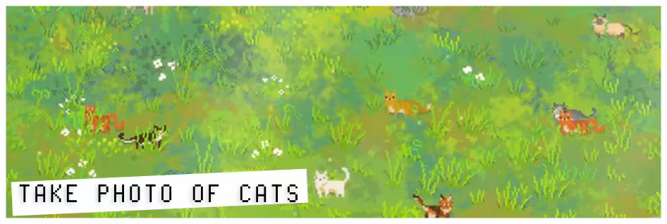 抓拍喵星人/Snap the Cat(图2)