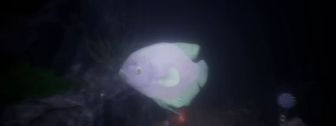 哈鲁:金鱼/Halu – The Fish(图7) 哈鲁:金鱼/Halu – The Fish(图7)
