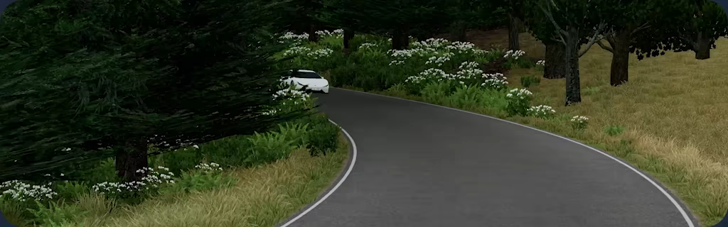 慢速公路/Slow Roads(图5)