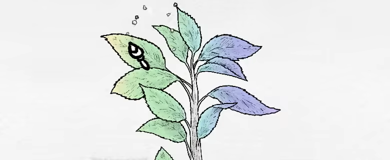 花园墨水/Garden Ink(图3)