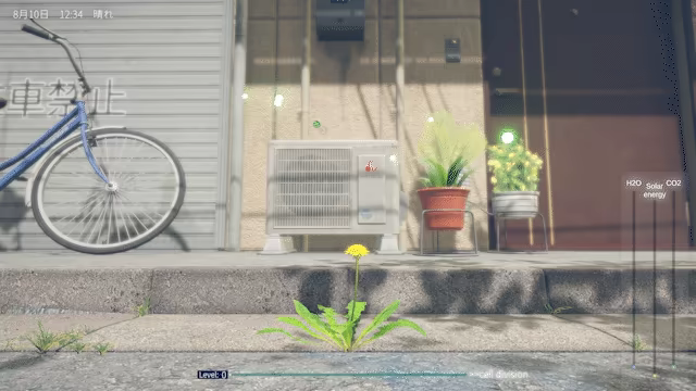 蒲公英不屈。/The Dandelion Endures.(图2)