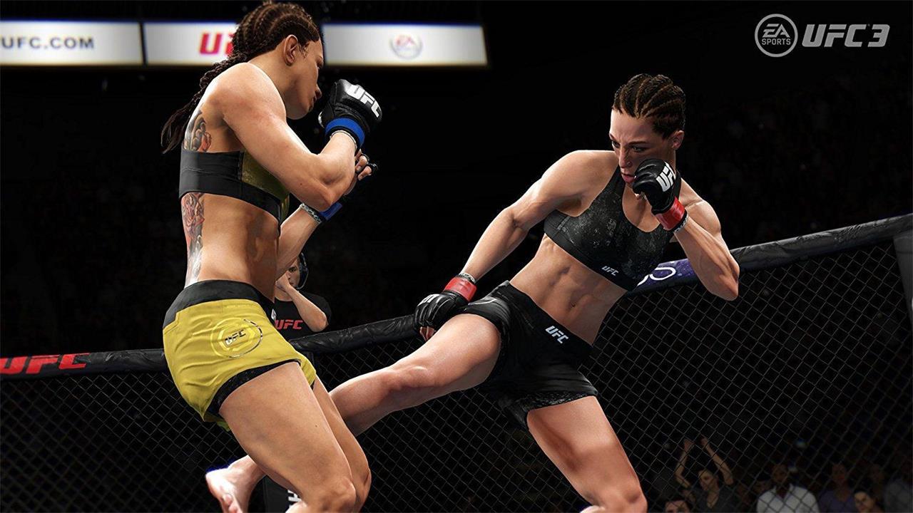 终极格斗冠军赛3/UFC 3(图4) 终极格斗冠军赛3/UFC 3(图4)