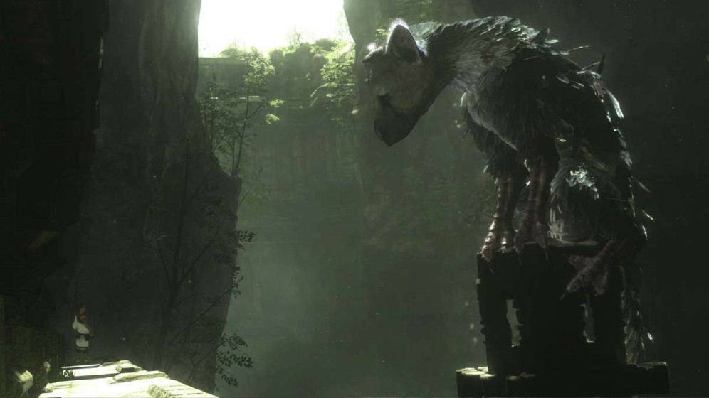最后的守护者/The Last Guardian(图4)