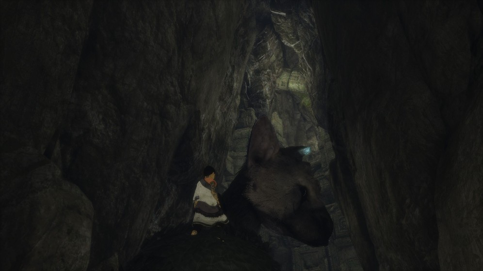 最后的守护者/The Last Guardian(图5)