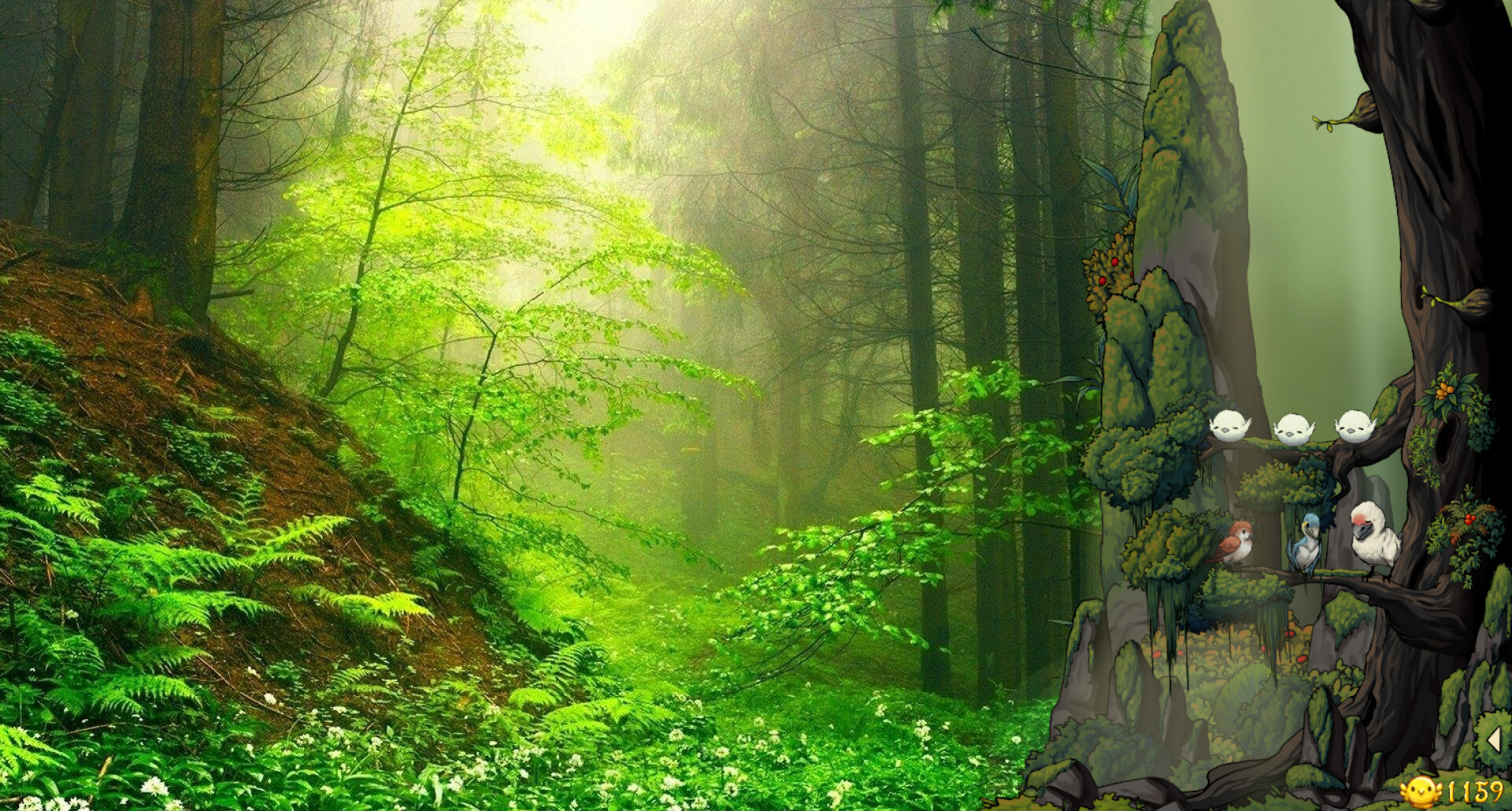 幻鸟之森/Fantasy Bird Woods(图2) 幻鸟之森/Fantasy Bird Woods(图2)