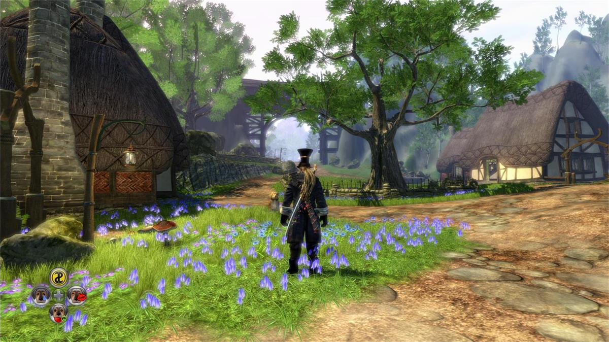 神鬼寓言2:年度版/Fable II: Game of the Year Edition(图2) 神鬼寓言2:年度版/Fable II: Game of the Year Edition(图2)