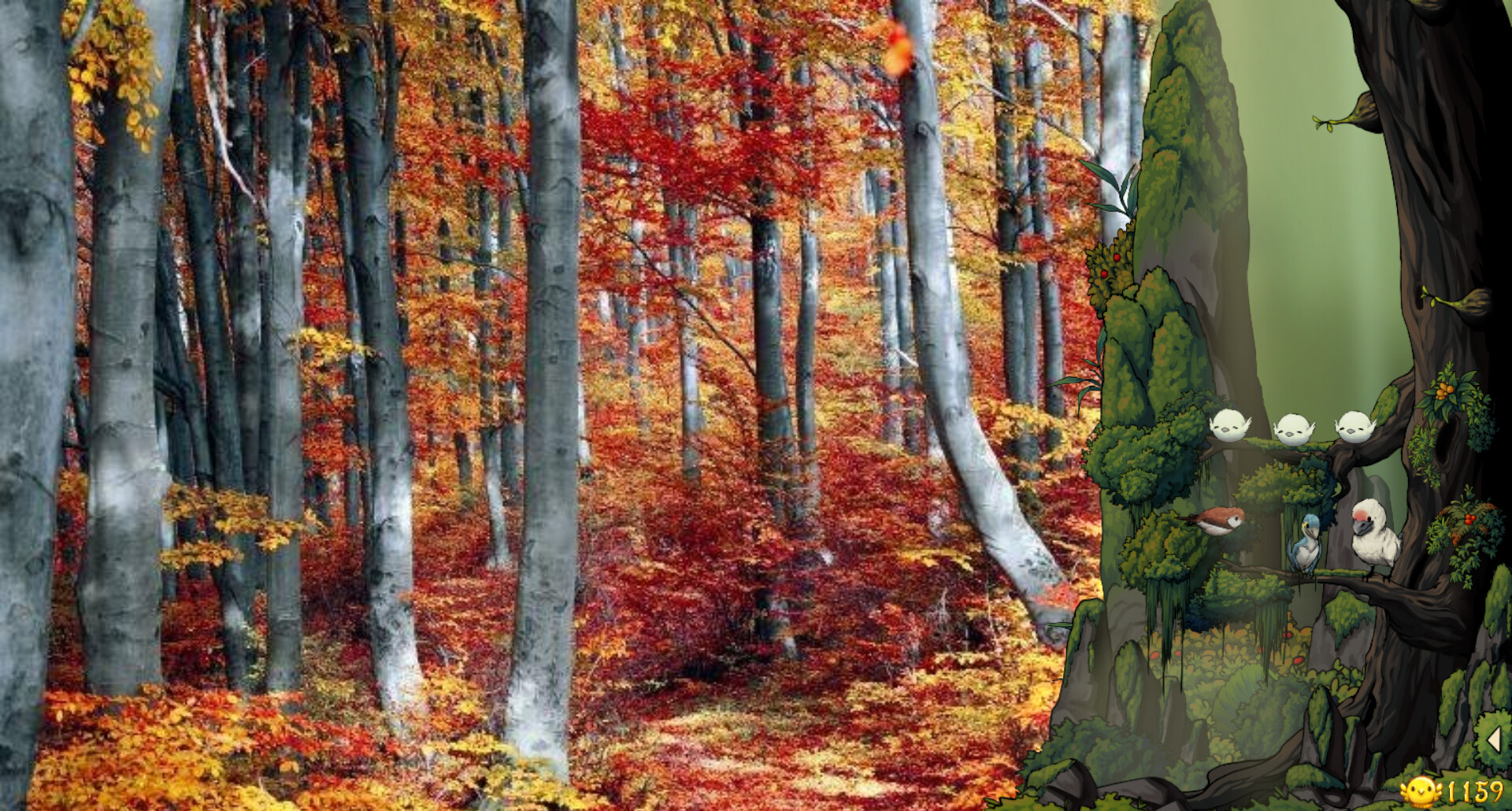幻鸟之森/Fantasy Bird Woods(图4) 幻鸟之森/Fantasy Bird Woods(图4)