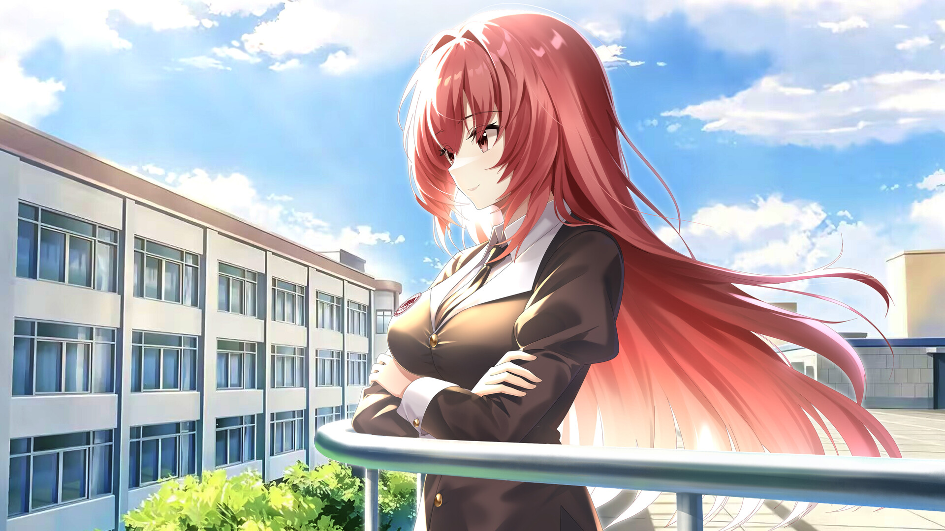 道之华隐/DaoNoKa hide(图12) 道之华隐/DaoNoKa hide(图12)