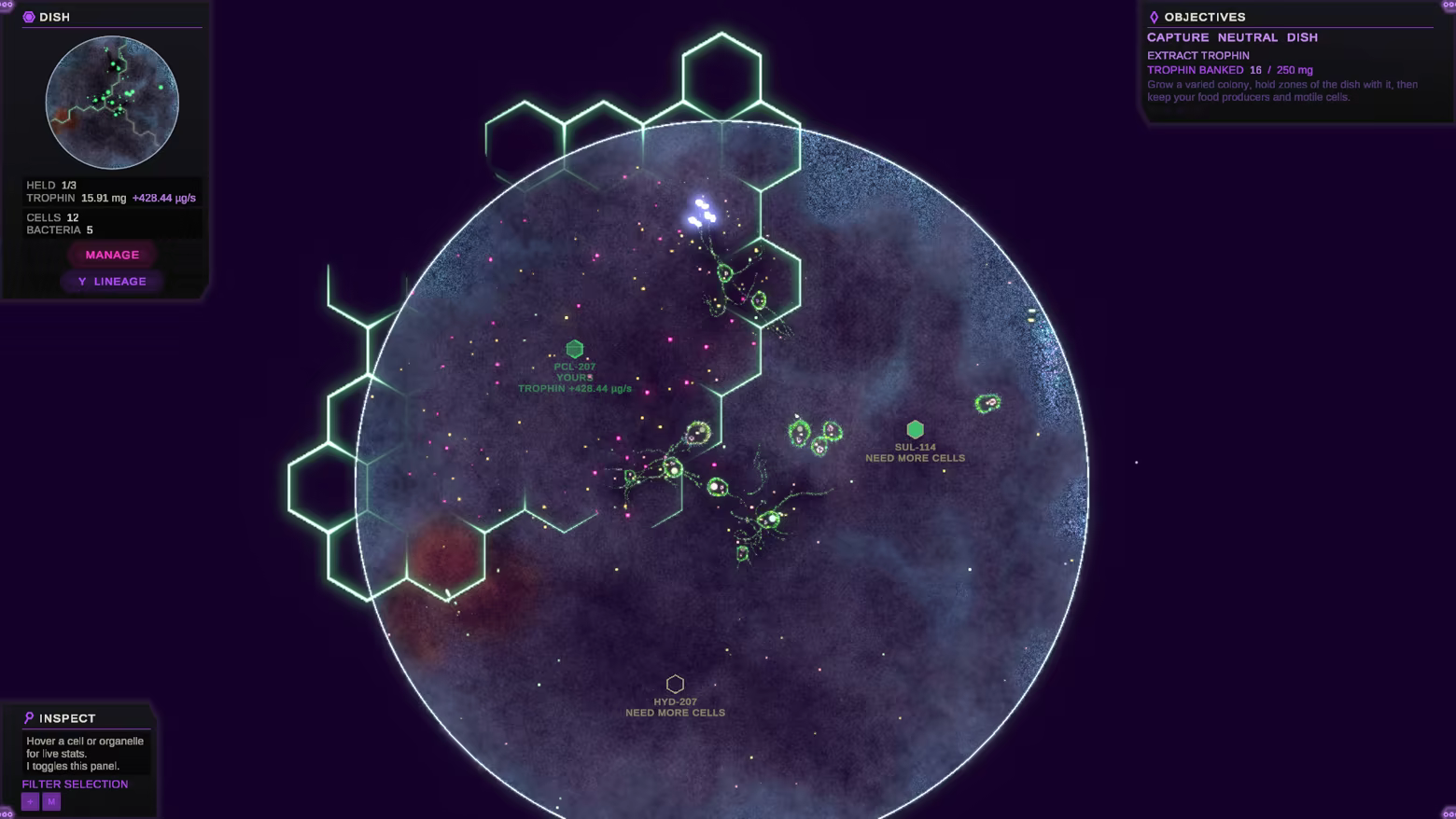 基质:涌现/Substrate: Emergence(图13) 基质:涌现/Substrate: Emergence(图13)