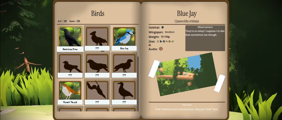 望向飞鸟/Look to the Birds(图6) 望向飞鸟/Look to the Birds(图6)