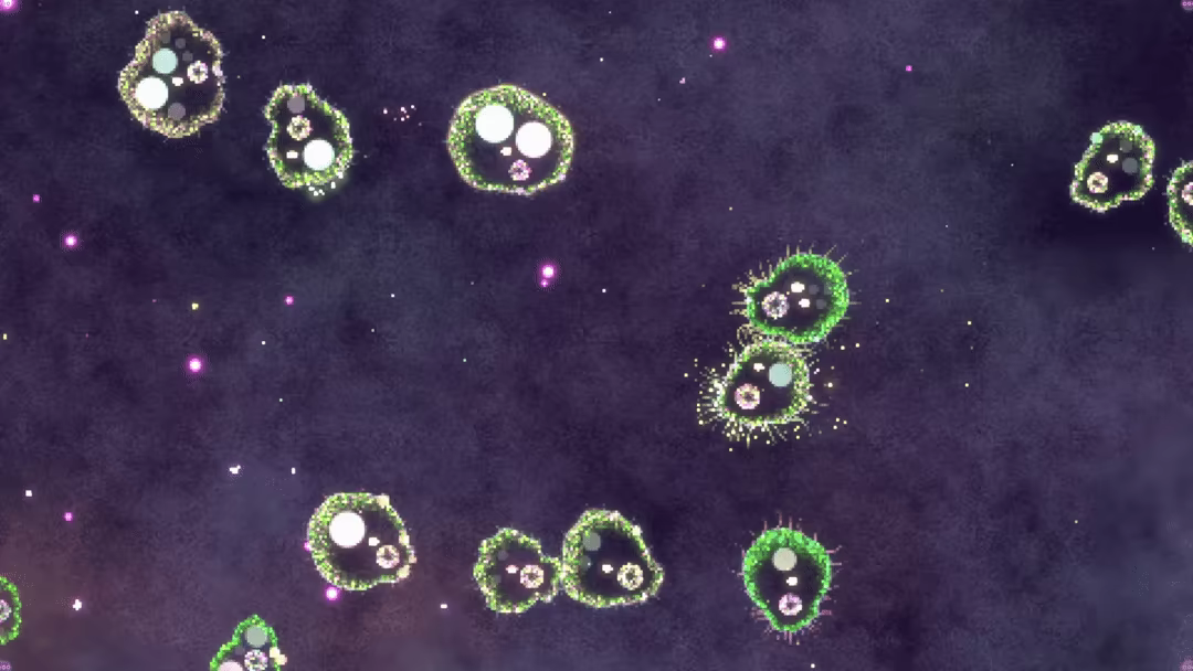 基质:涌现/Substrate: Emergence(图6) 基质:涌现/Substrate: Emergence(图6)