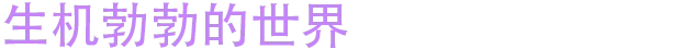 月霜/Moonfrost(图21)