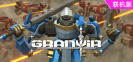 格兰维尔/Granvir/支持网络联机