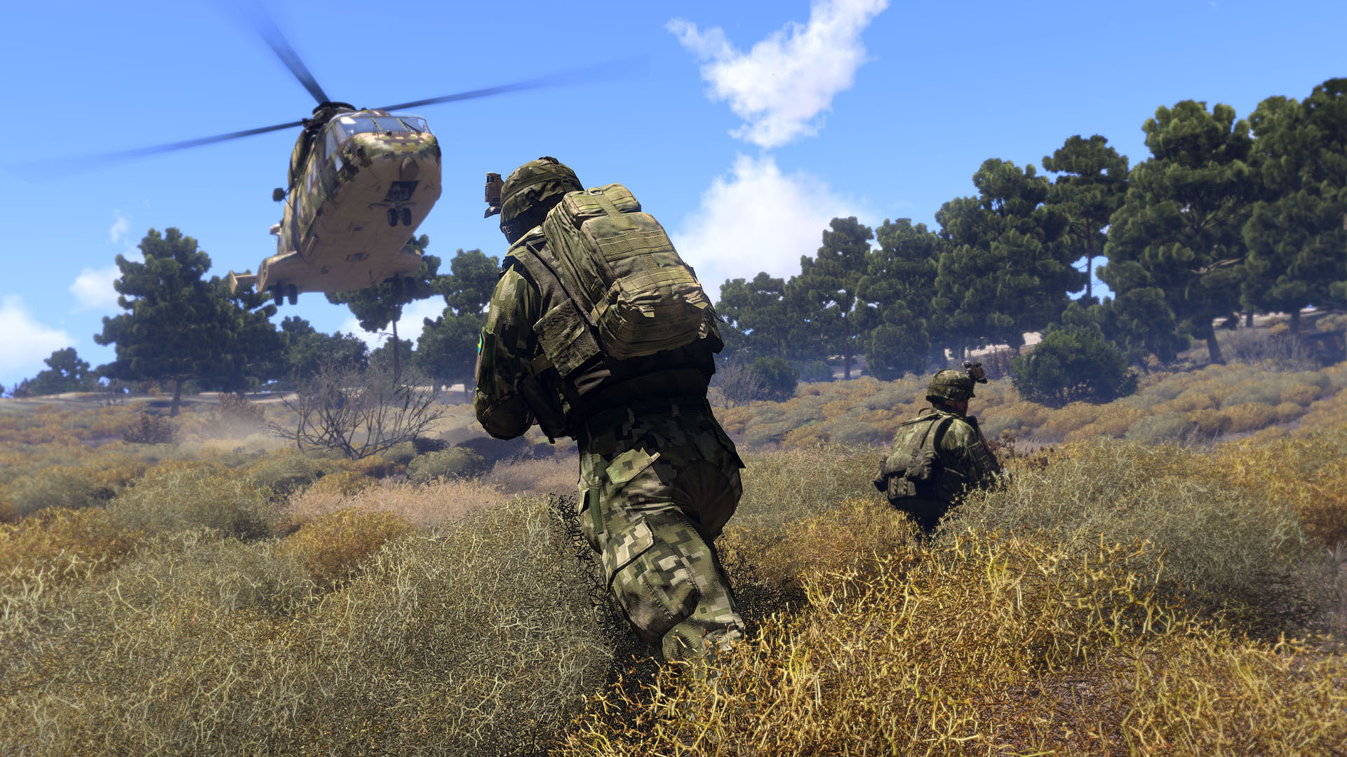 1.jpg